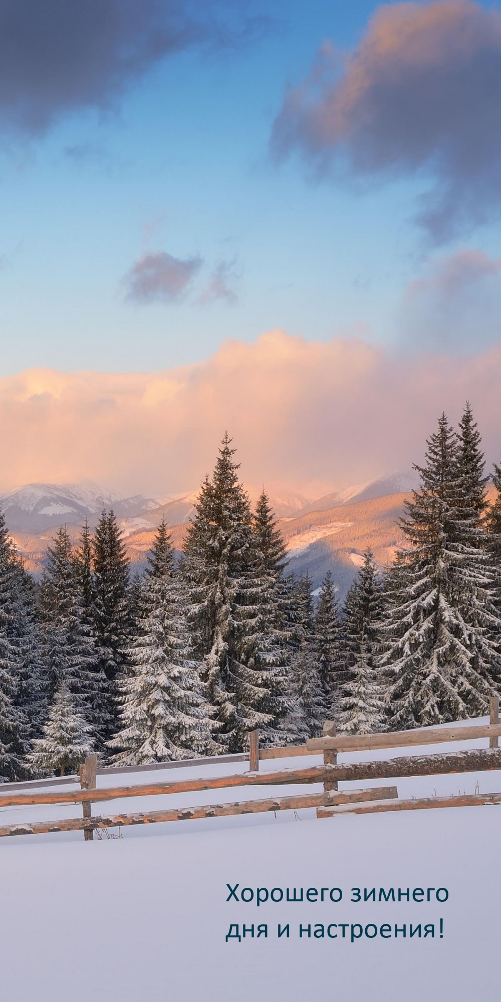 Хорошего зимнего дня и настроения!