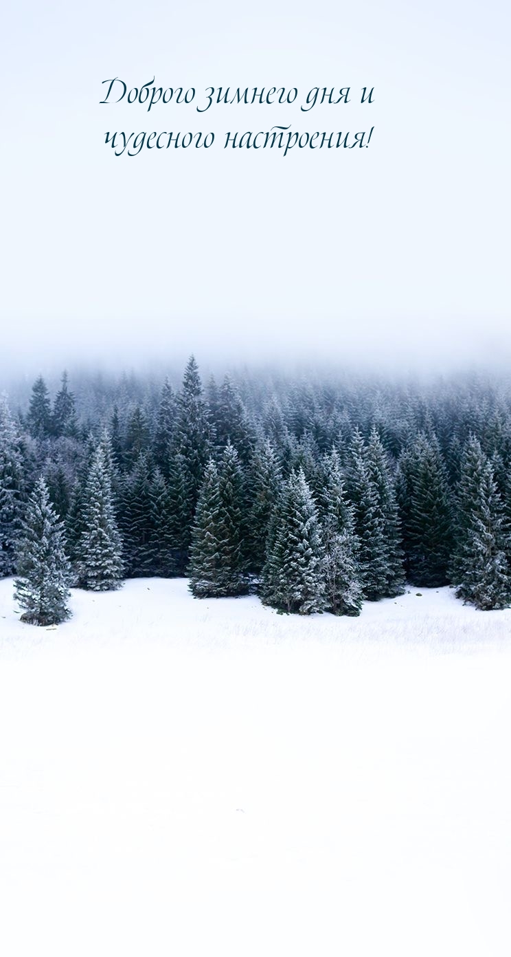 Доброго зимнего дня и чудесного настроения!