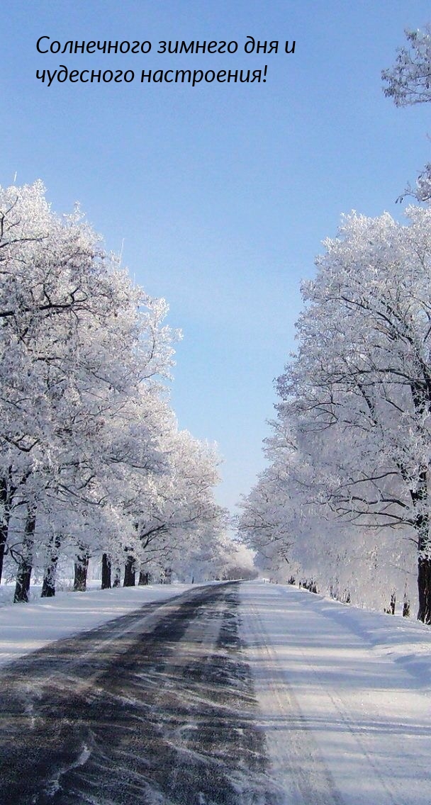 Солнечного зимнего дня и чудесного настроения!