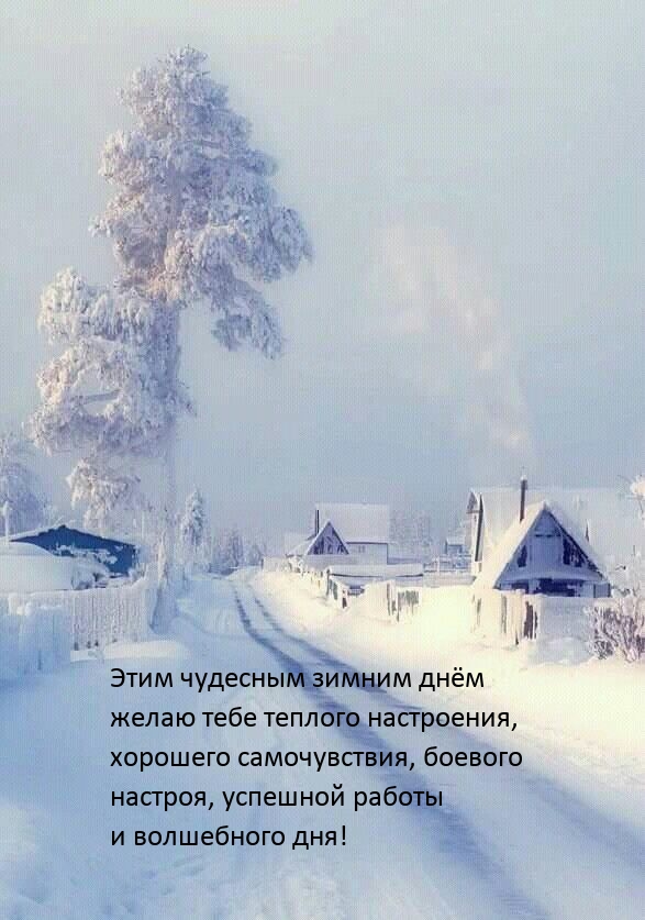 Этим чудесным зимним днём желаю тебе теплого настроения