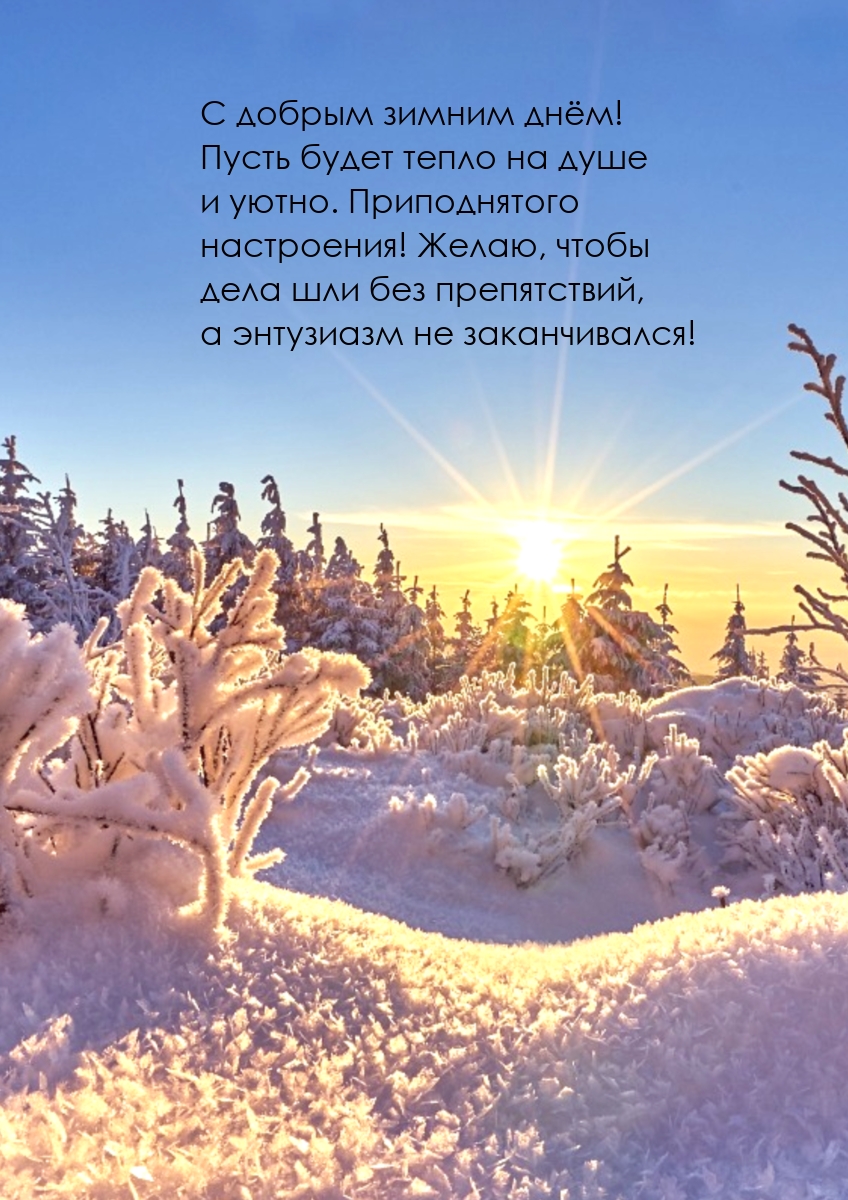С добрым зимним днём! Пусть будет тепло на душе и уютно. 
