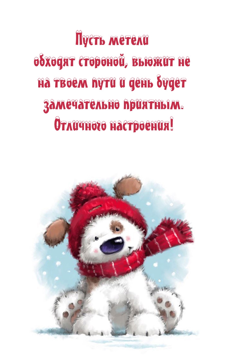 Отличного настроения! Пусть метели обходят стороной
