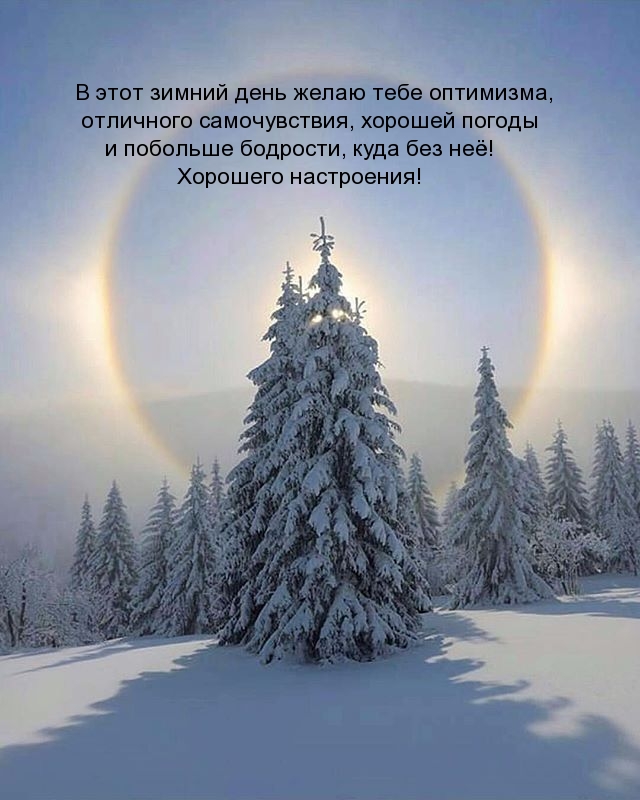 В этот зимний день желаю тебе оптимизма, отличного самочувствия