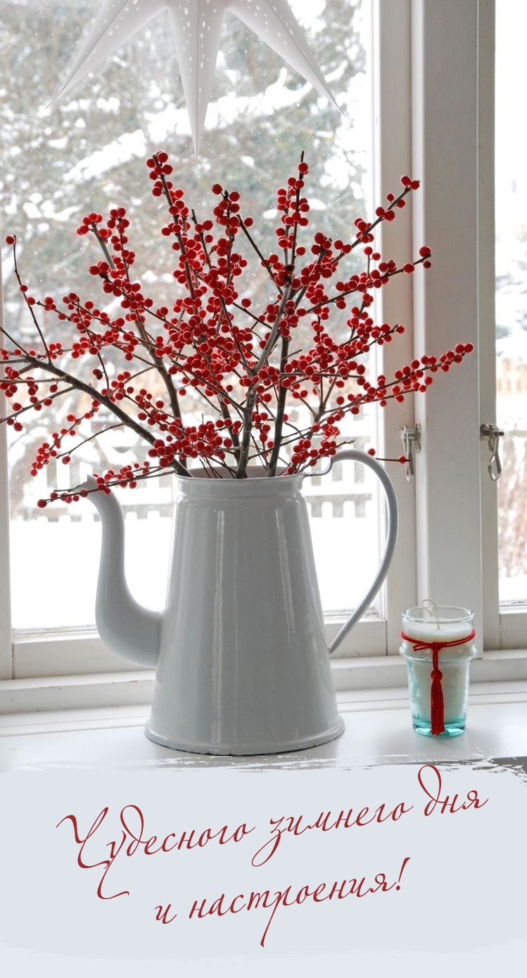 Чудесного зимнего дня и настроения! 