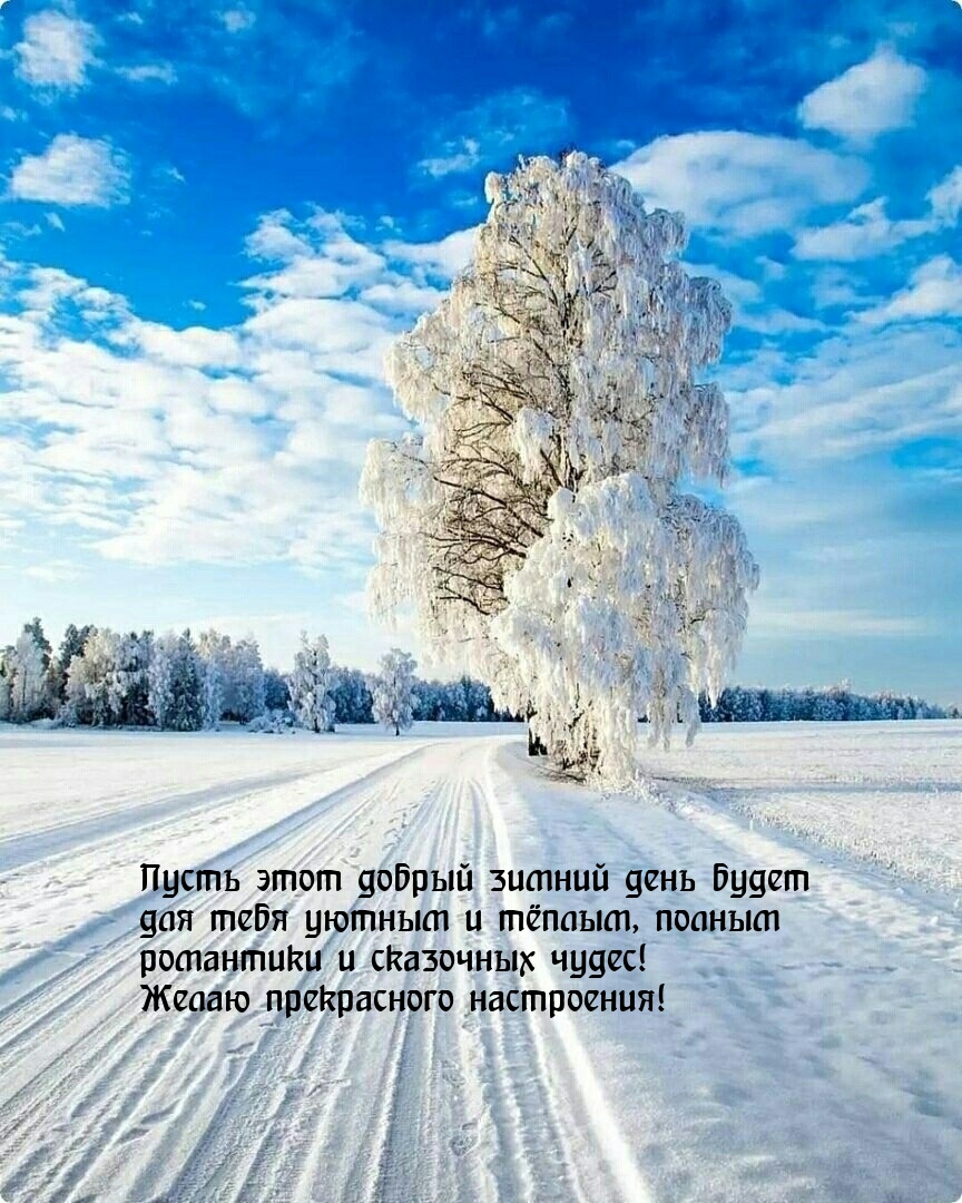 Пусть этот добрый зимний день будет для тебя уютным и тёплым