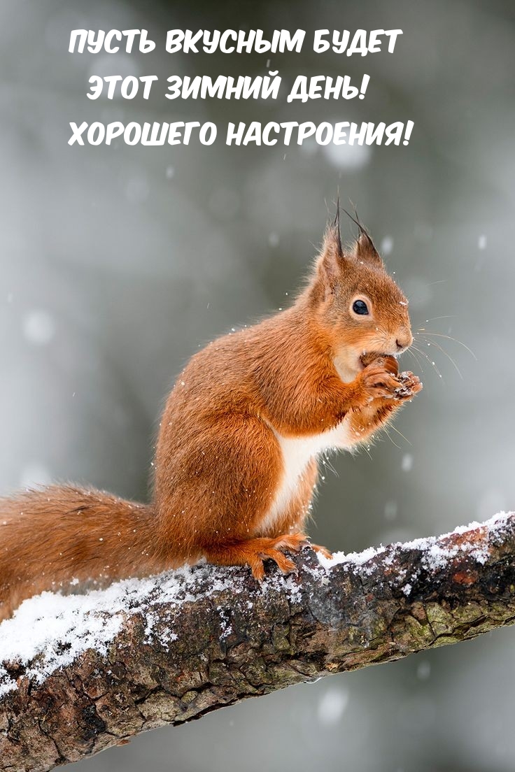 Пусть вкусным будет этот зимний день! Хорошего настроения!