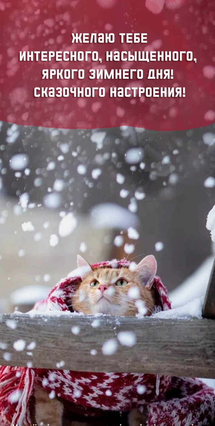 Желаю тебе интересного, насыщенного, яркого зимнего дня! 