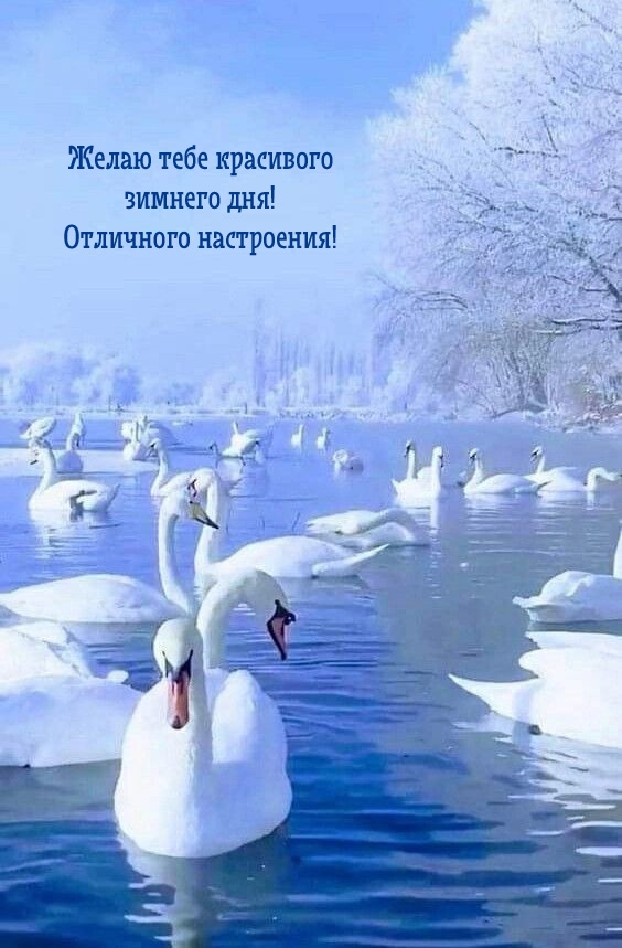 Желаю тебе красивого зимнего дня! Отличного настроения!