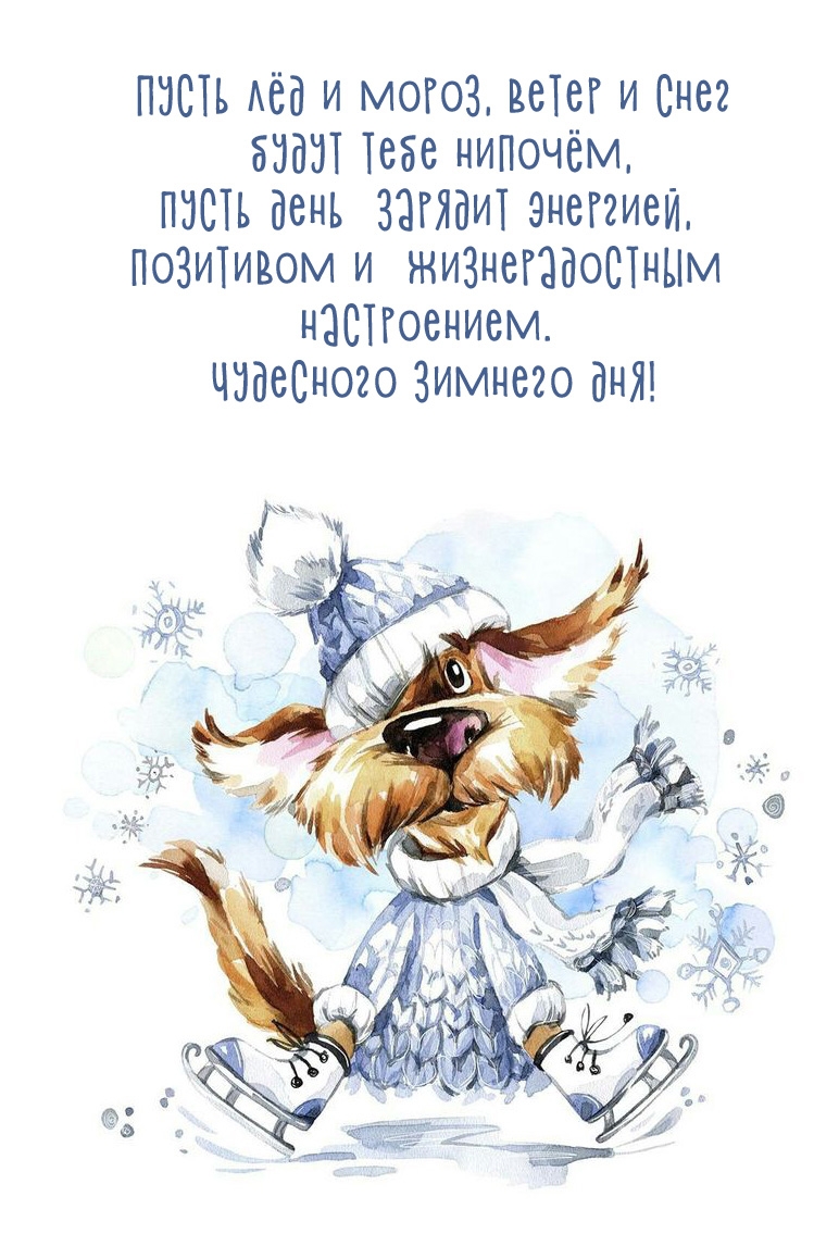 Чудесного зимнего дня! Пусть лёд и мороз, ветер и снег будут нипочём