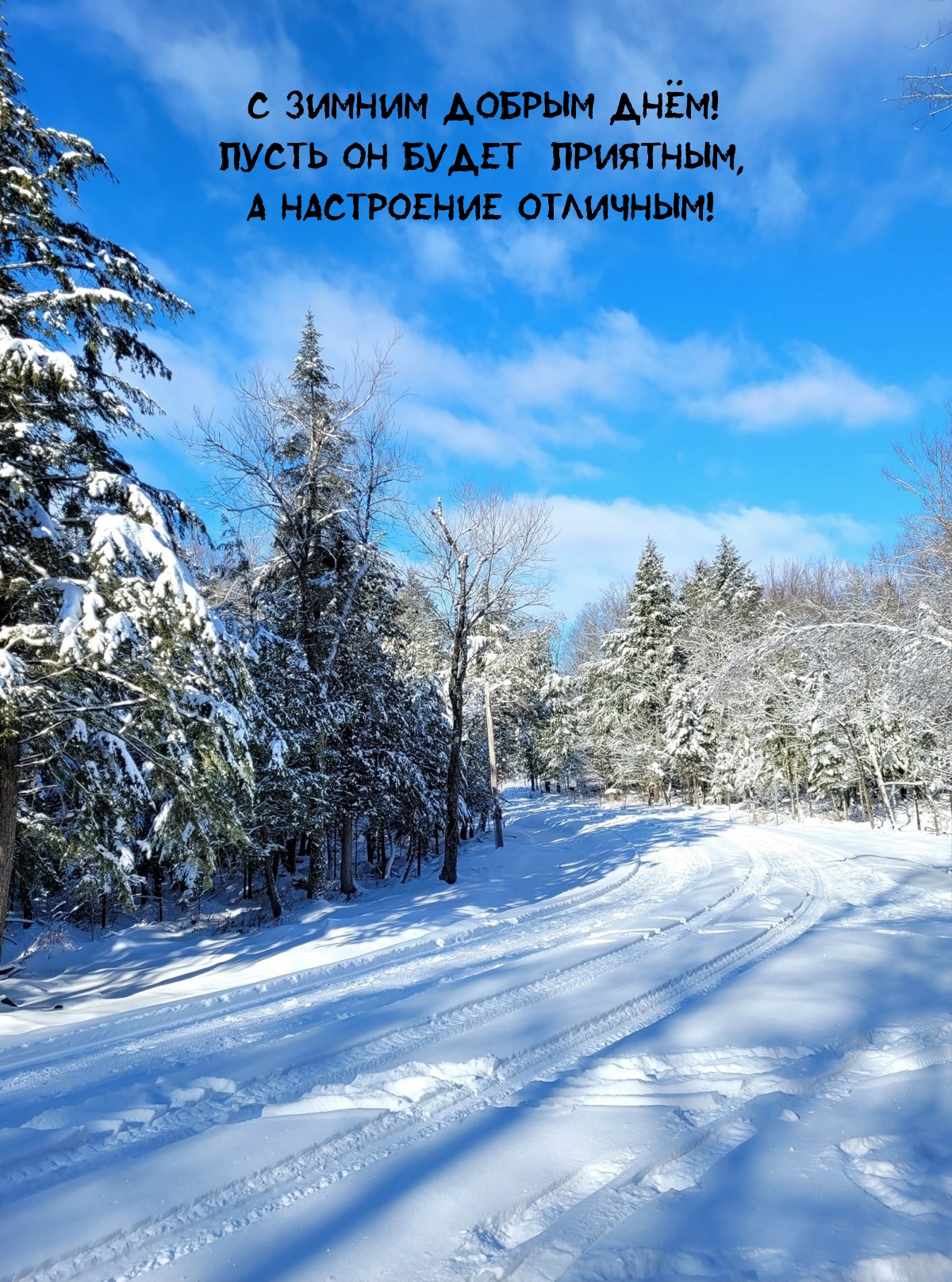 С зимним добрым днём! Пусть он будет приятным