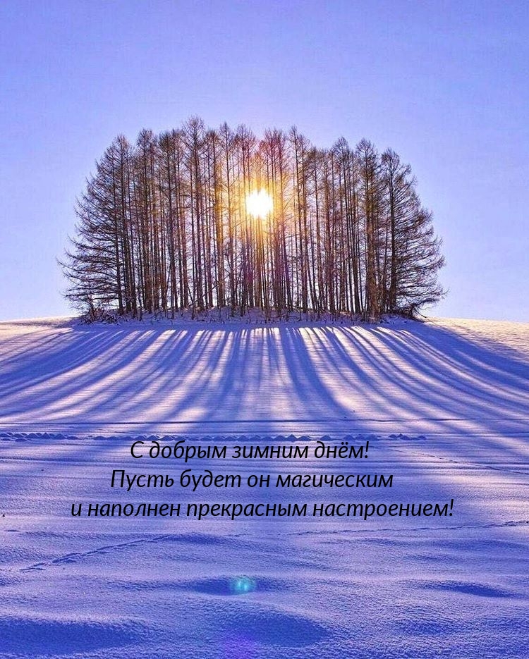 С добрым зимним днём! Пусть будет он магическим 