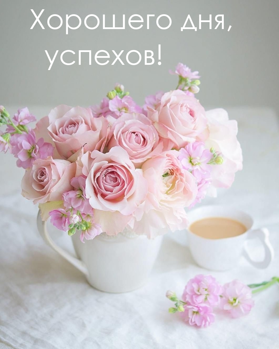 Хорошего дня, успехов!