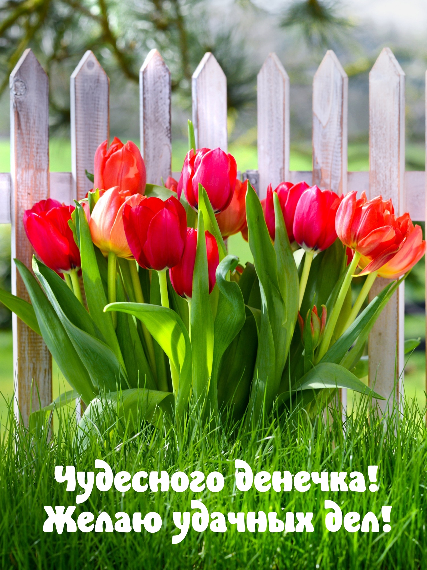 Чудесного денечка! Желаю удачных дел!