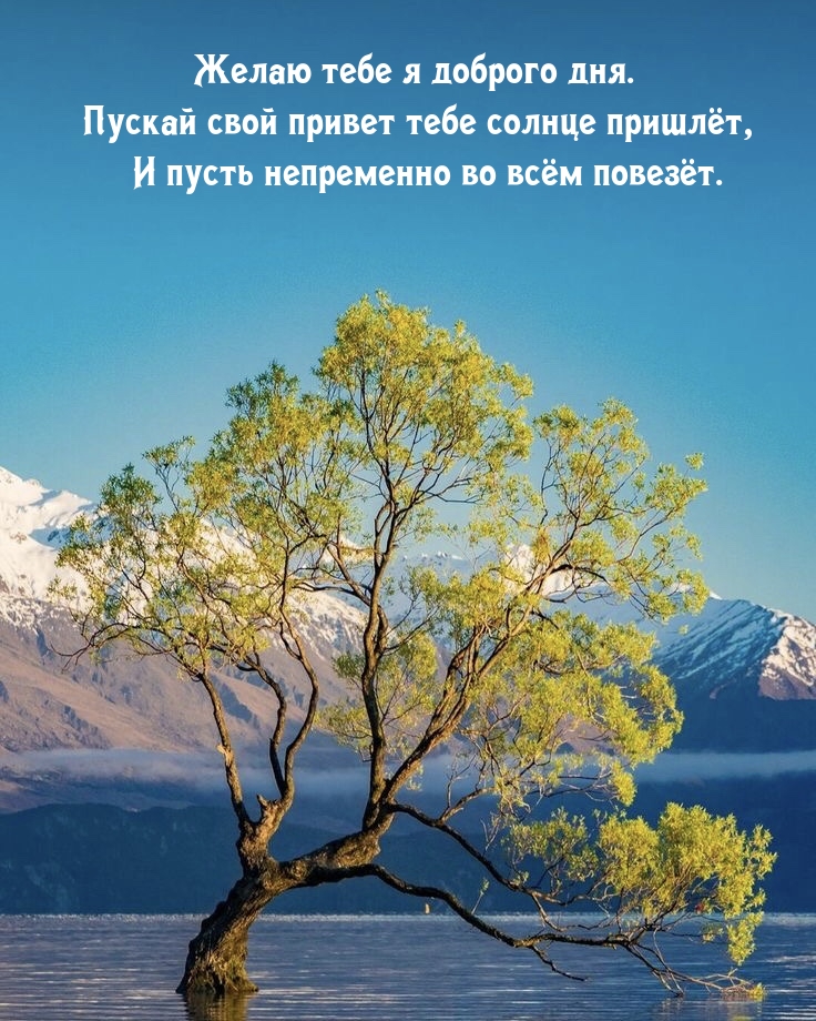 Желаю тебе я доброго дня. Пускай свой привет тебе солнце пришлёт
