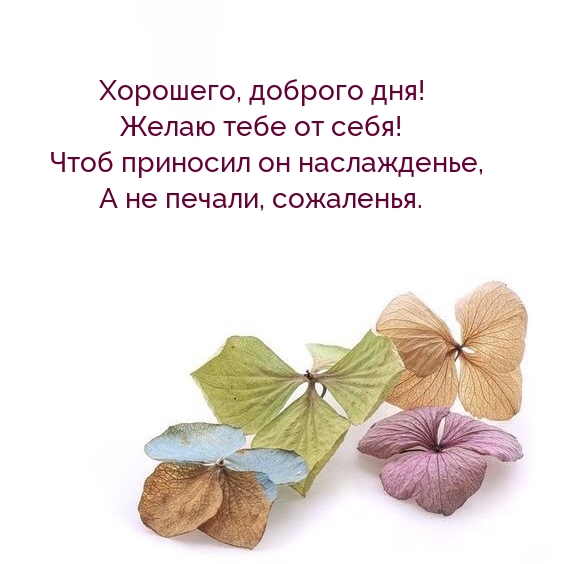 Хорошего, доброго дня! Желаю тебе от себя!