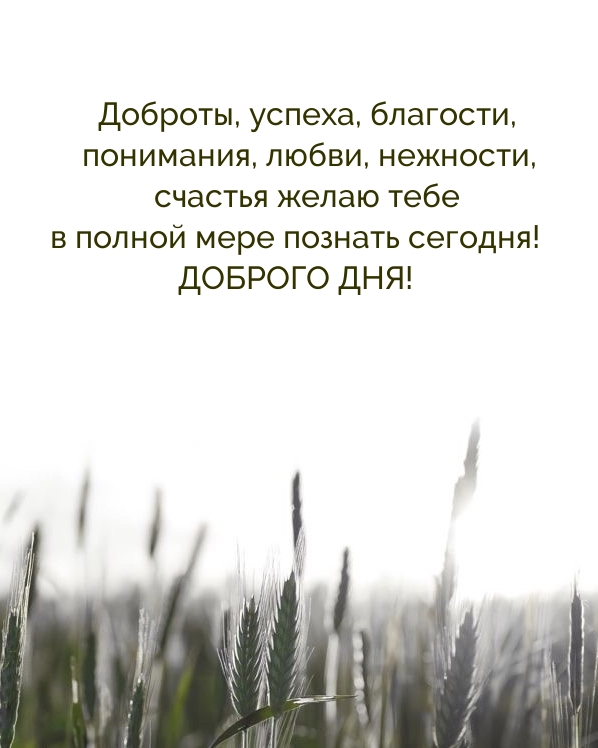 Доброты, успеха, благости, понимания, любви, нежности