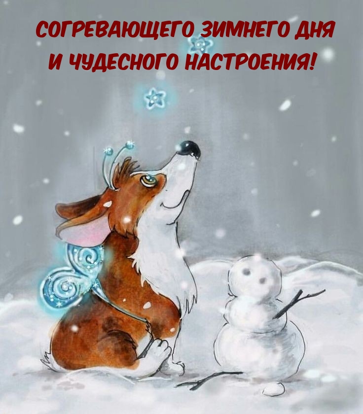 Согревающего зимнего дня и чудесного настроения!