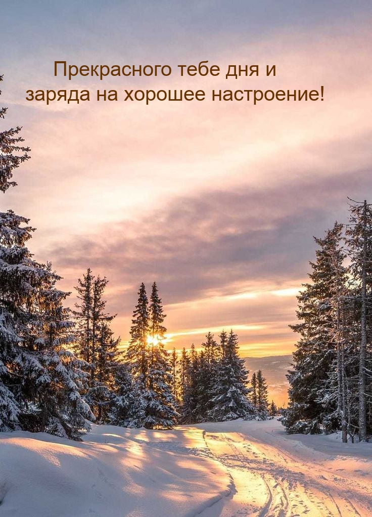 Прекрасного тебе дня и заряда на хорошее настроение!