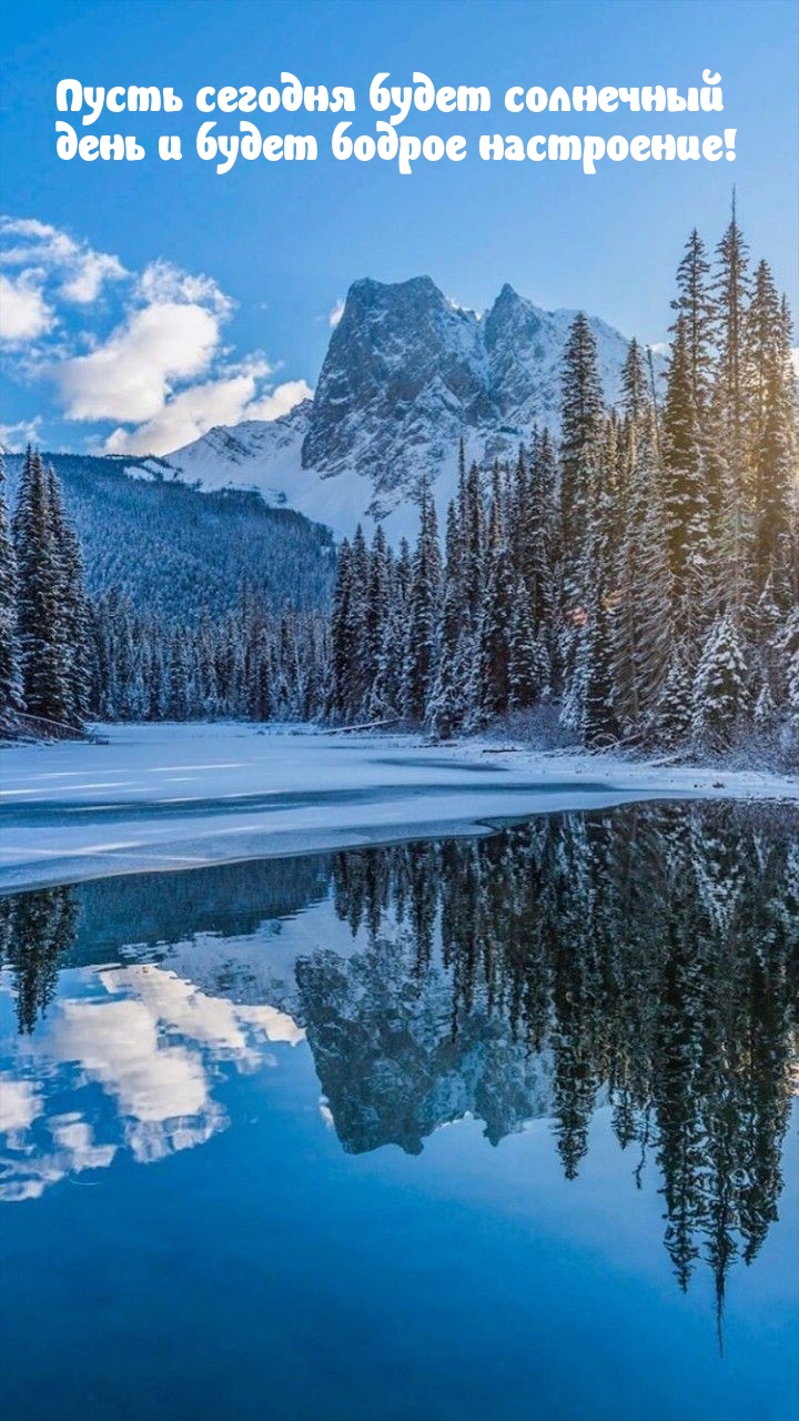 Пусть сегодня будет солнечный день и будет бодрое настроение!
