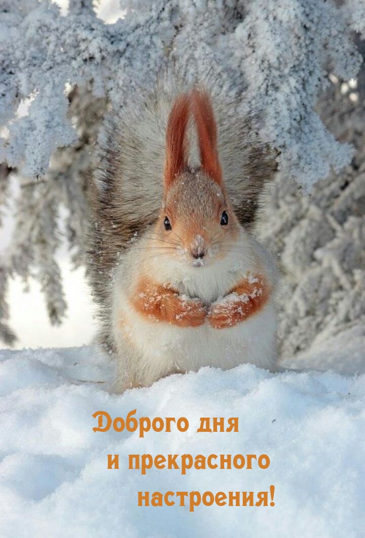 Доброго дня и прекрасного настроения!