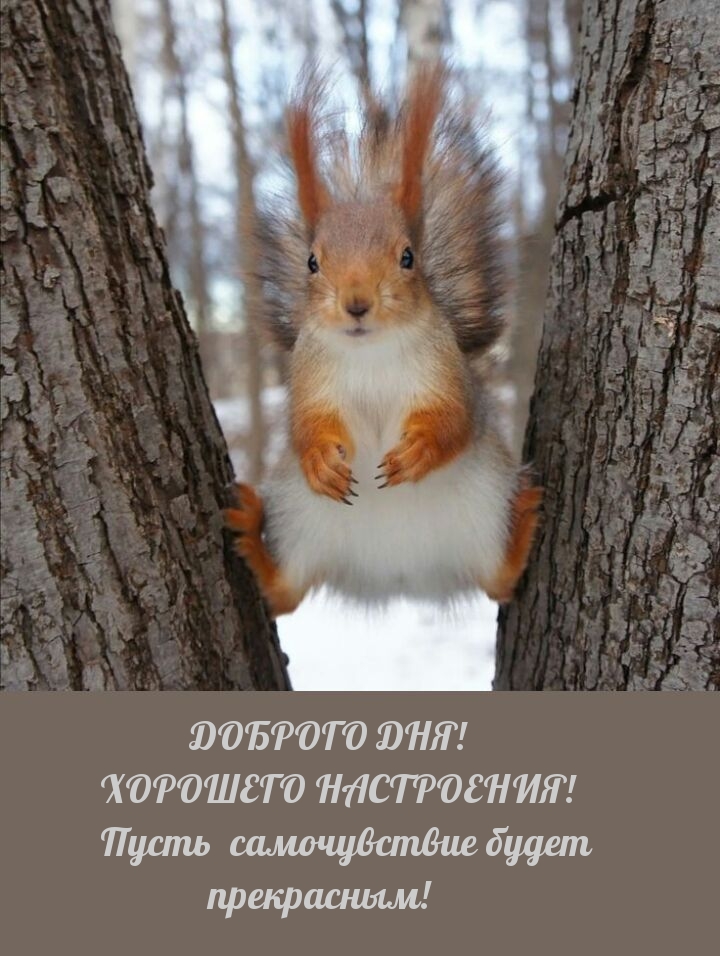 Доброго дня! Пусть самочувствие будет прекрасным!