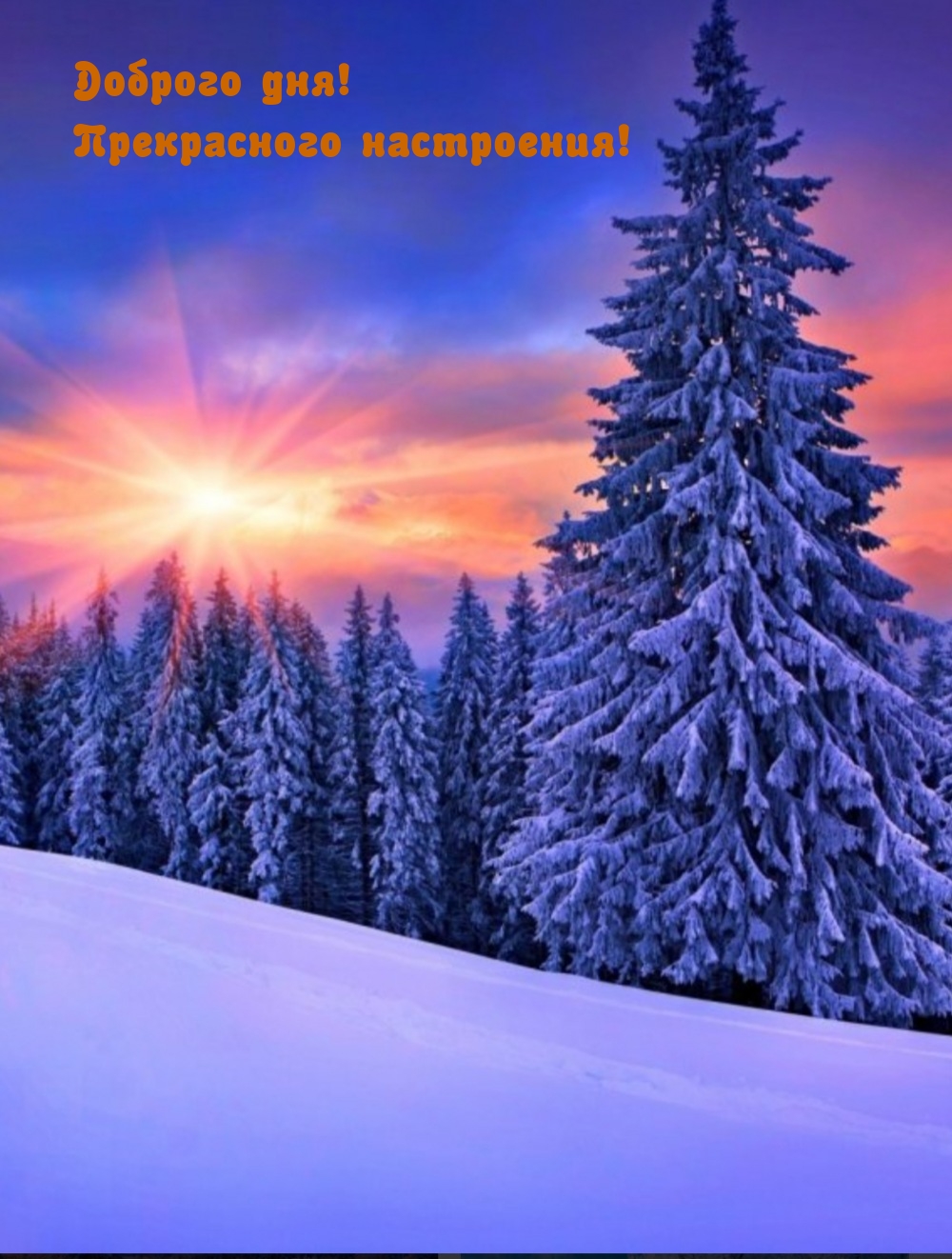 Доброго дня! Прекрасного настроения!