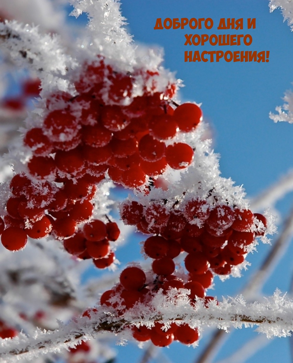 Доброго дня и хорошего настроения!