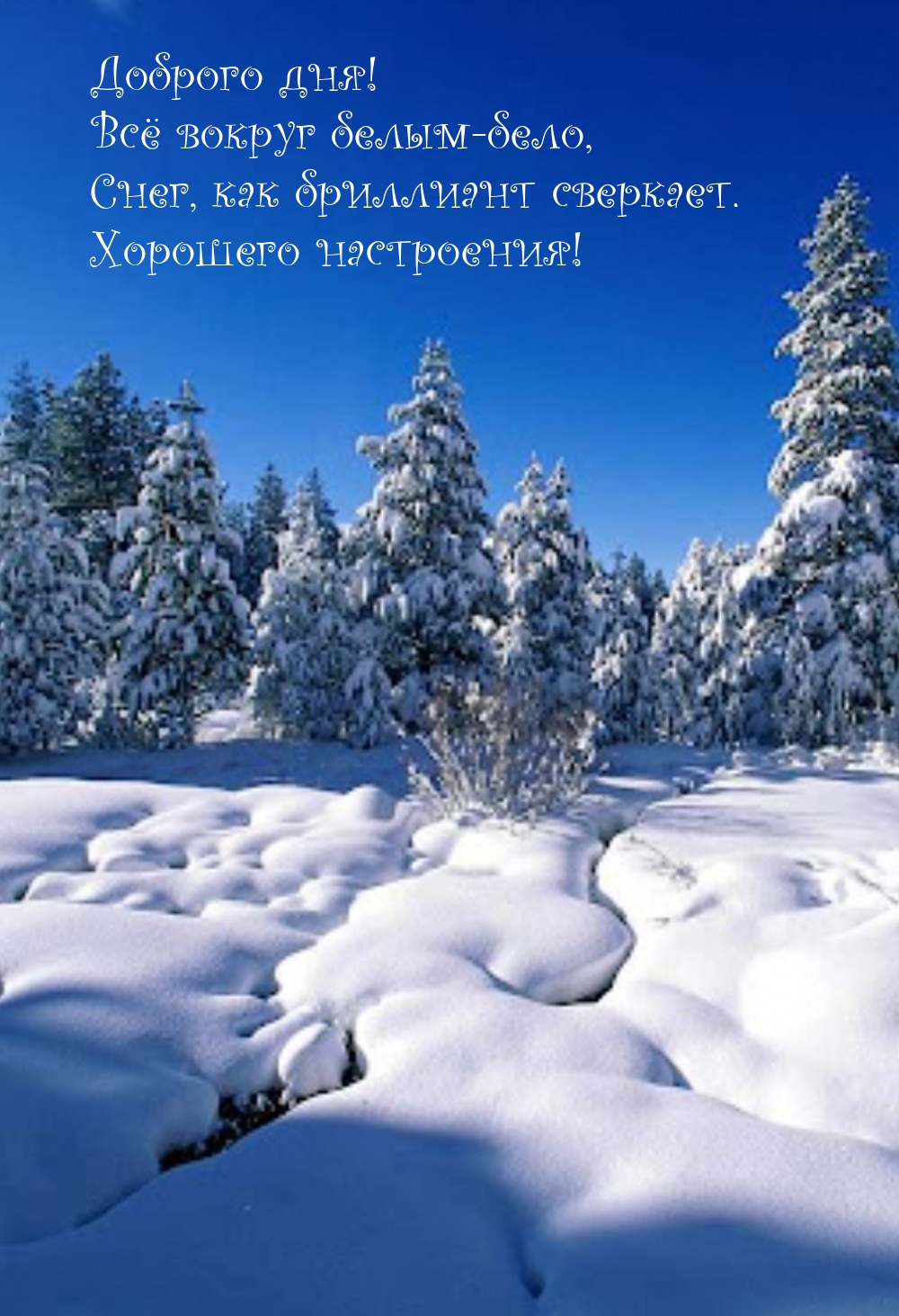 Доброго дня! Всё вокруг белым-бело, Снег, как бриллиант сверкает.