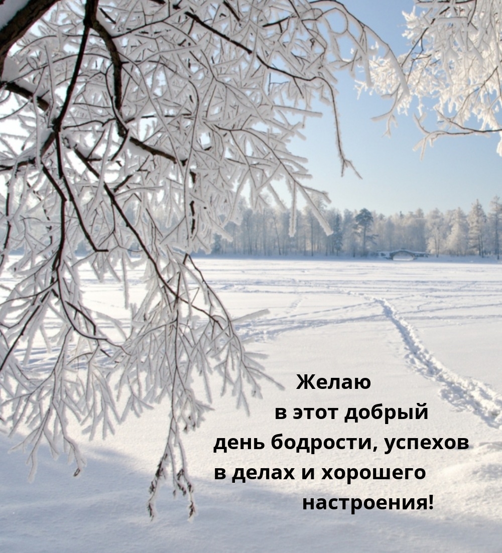 Желаю в этот добрый день бодрости и хорошего настроения! 
