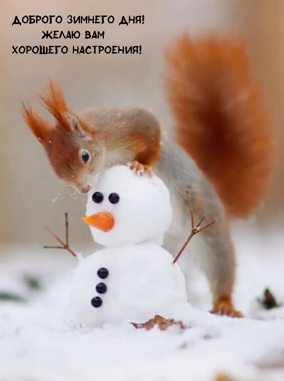 Доброго зимнего дня! Желаю Вам хорошего настроения! 