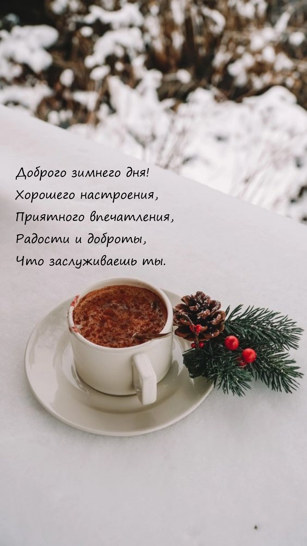 Доброго зимнего дня! Хорошего настроения, приятного впечатления