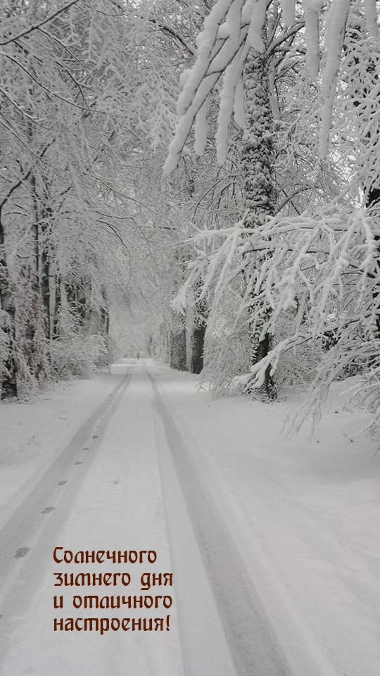 Солнечного зимнего дня и отличного настроения!