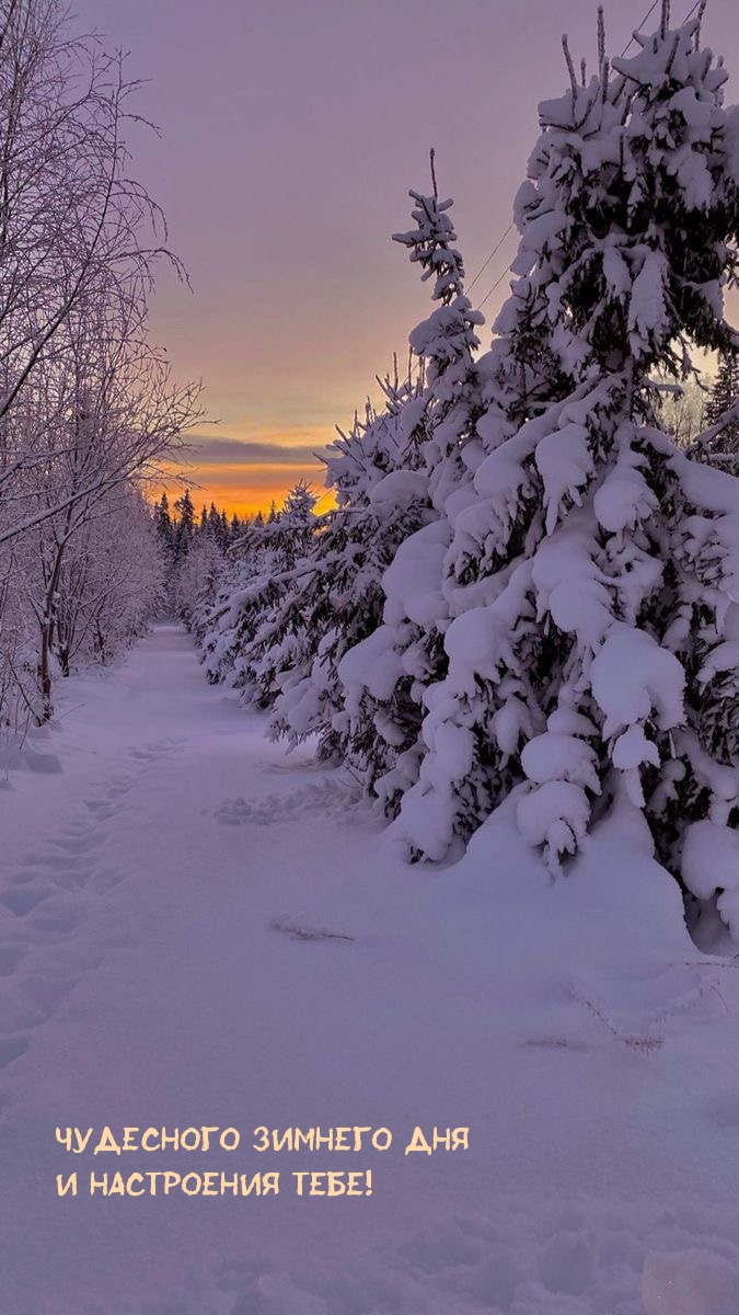Чудесного зимнего дня и настроения тебе!