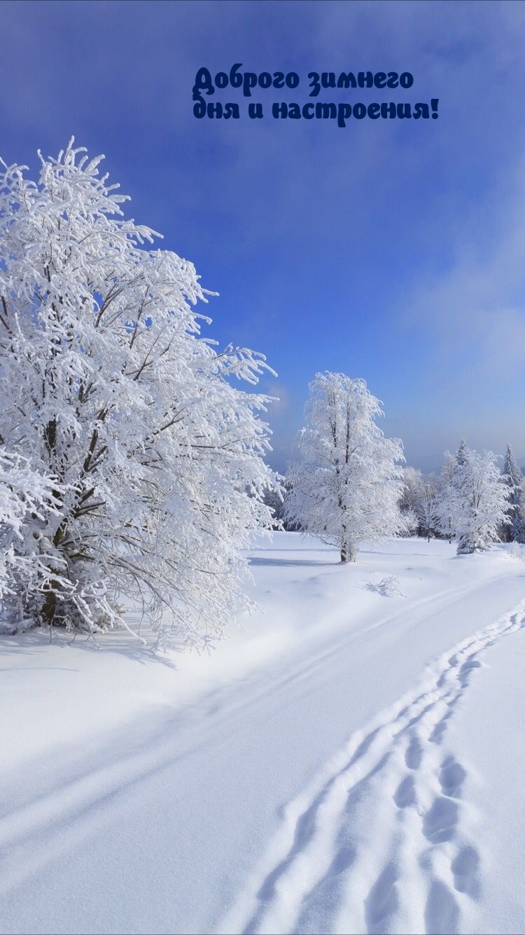 Доброго зимнего дня и настроения!