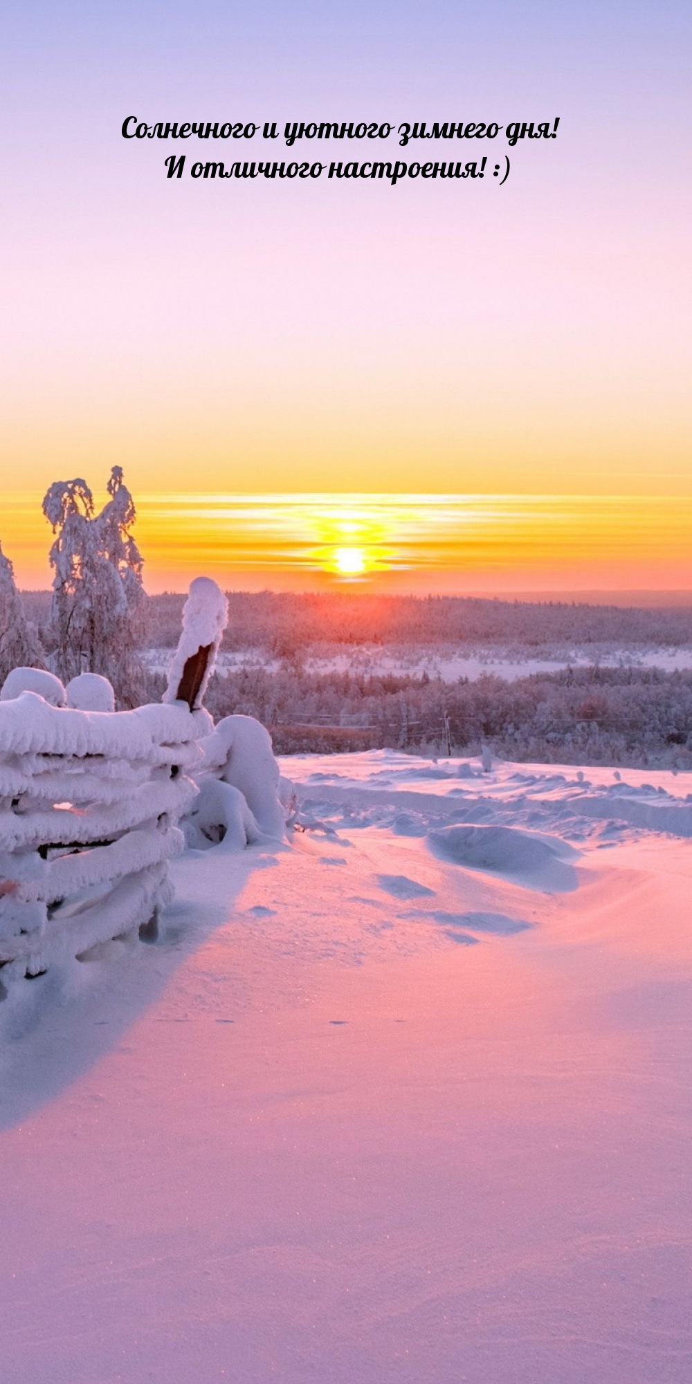 Солнечного и уютного зимнего дня! И отличного настроения! :)