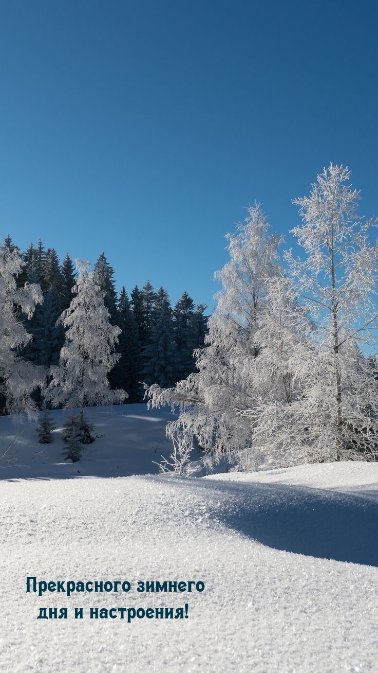 Прекрасного зимнего дня и настроения!