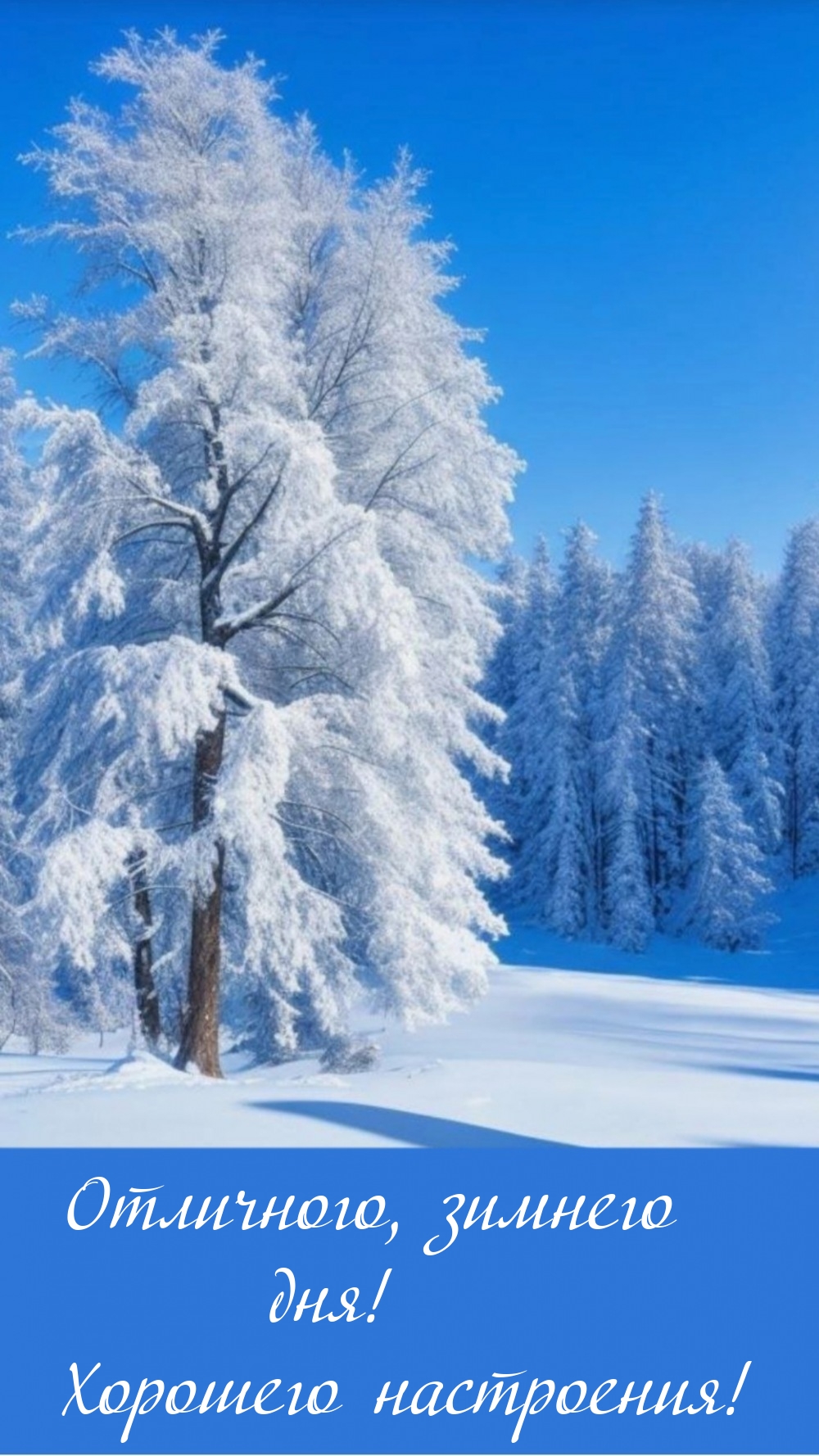 Отличного, зимнего дня! Хорошего настроения!