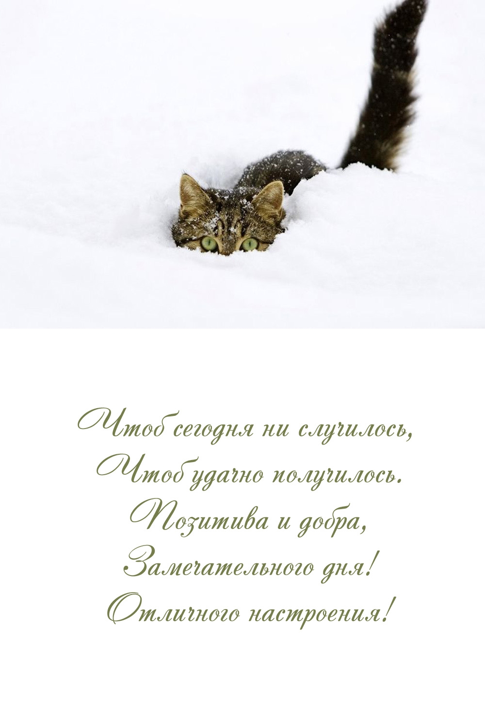 Чтоб сегодня ни случилось, чтоб удачно получилось.