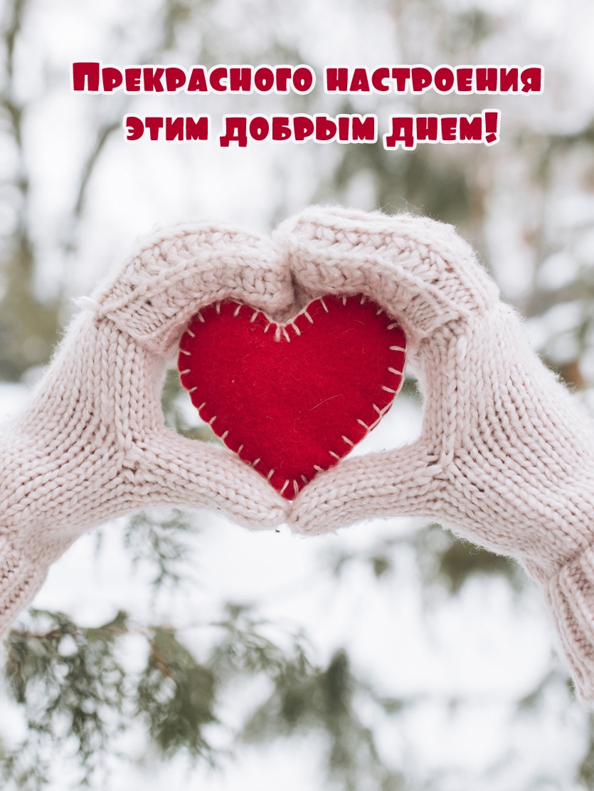 Прекрасного настроения этим добрым днем!