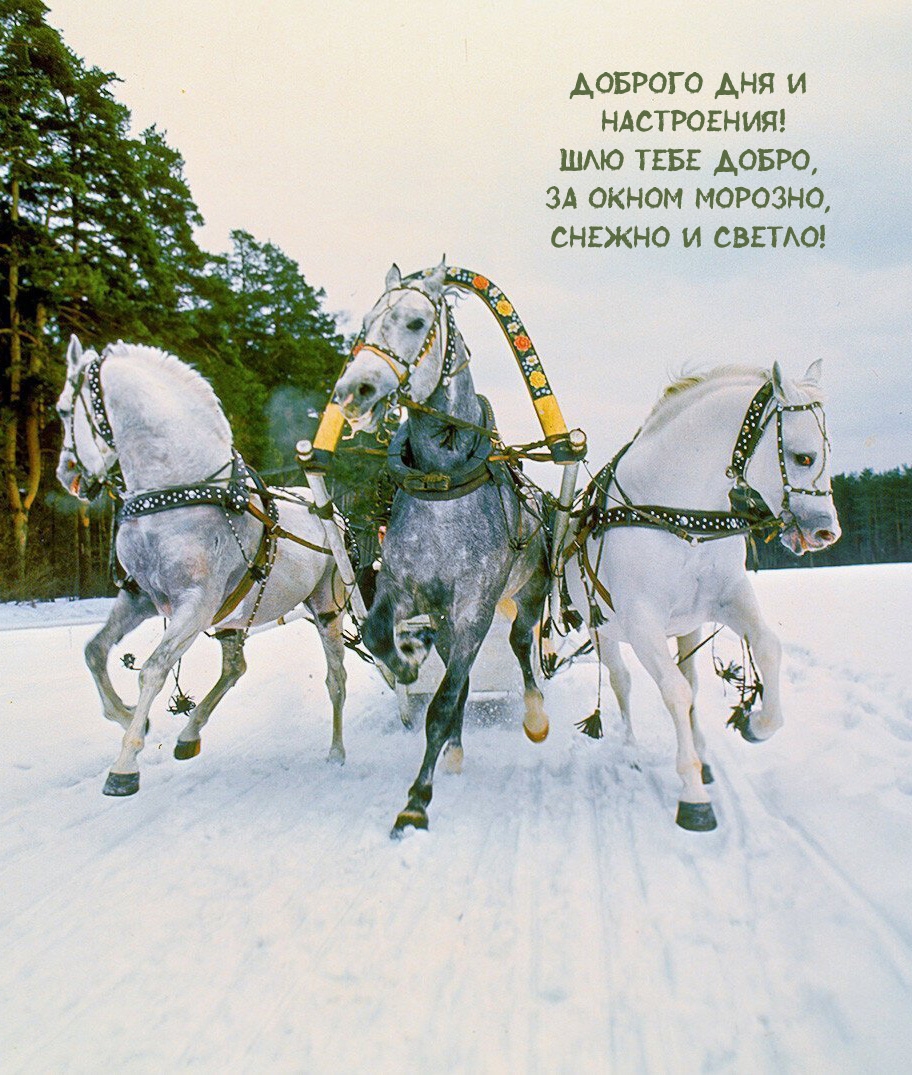 Доброго дня и настроения! Шлю тебе добро, за окном морозно
