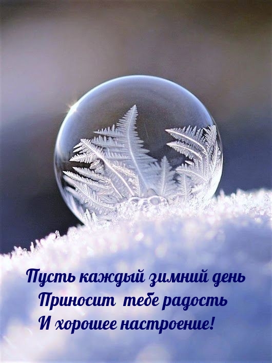 Пусть каждый зимний день приносит радость и хорошее настроение!