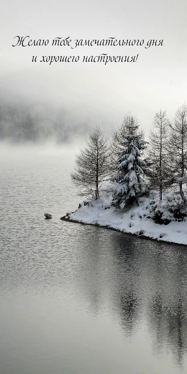 Желаю тебе замечательного дня и хорошего настроения!
