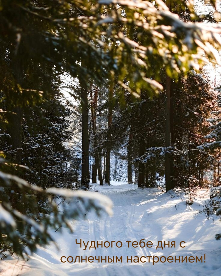 Чудного тебе дня с солнечным настроением!
