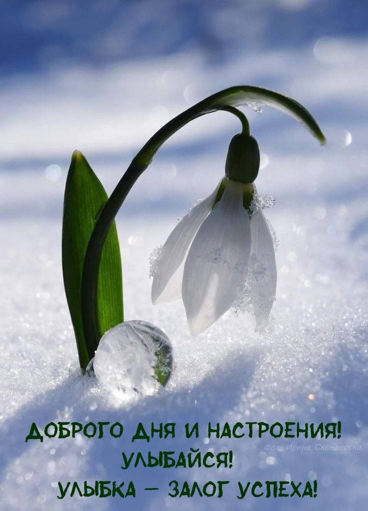 Доброго дня и настроения! Улыбайся! Улыбка — залог успеха!