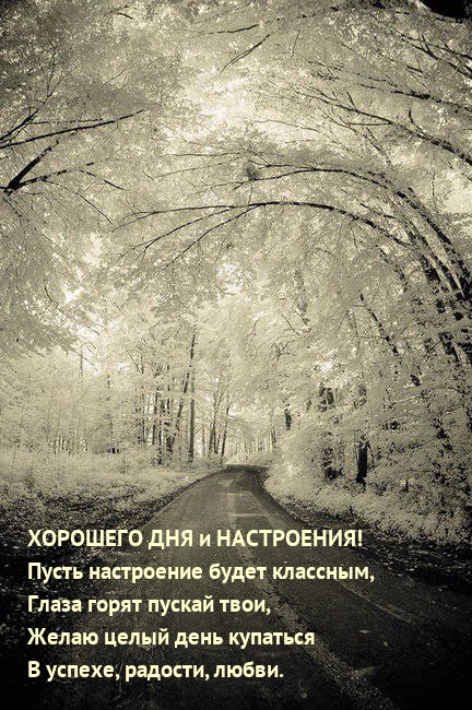 Хорошего дня и настроения! Пусть настроение будет классным