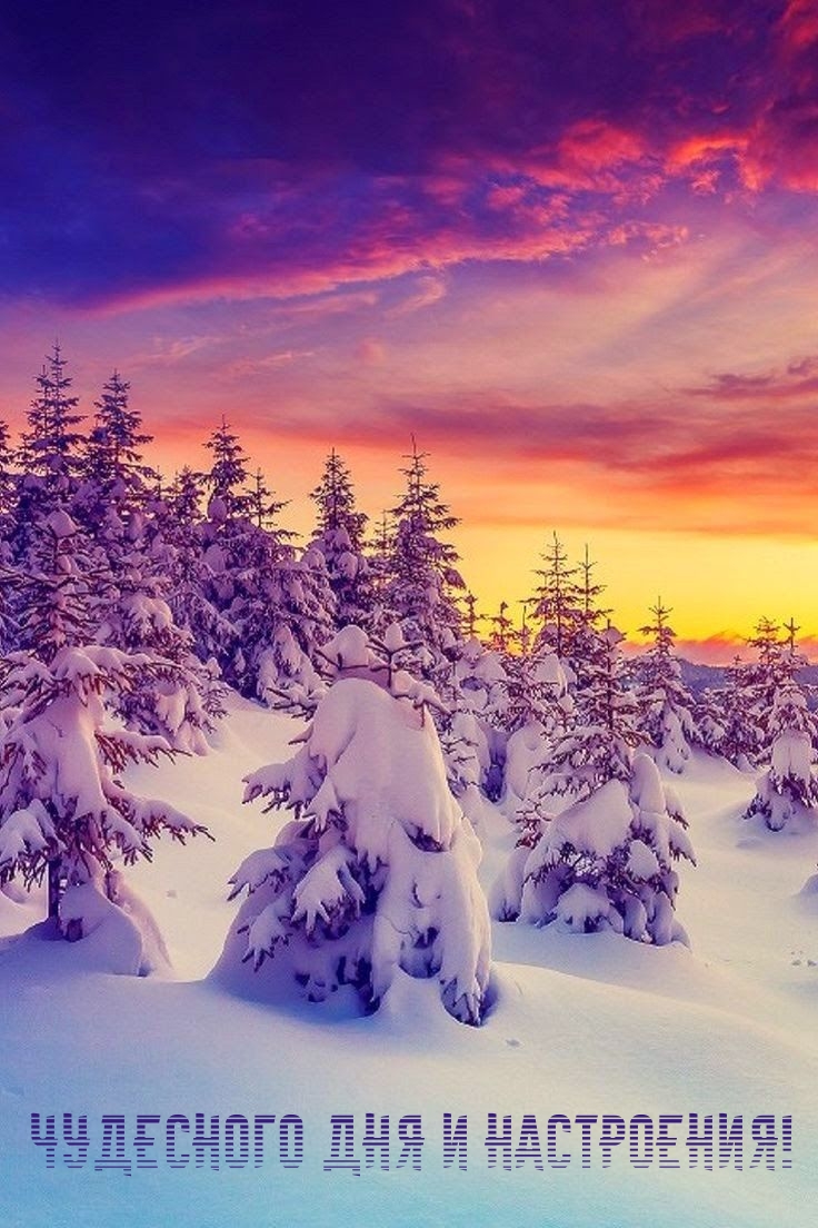 Чудесного дня и настроения!