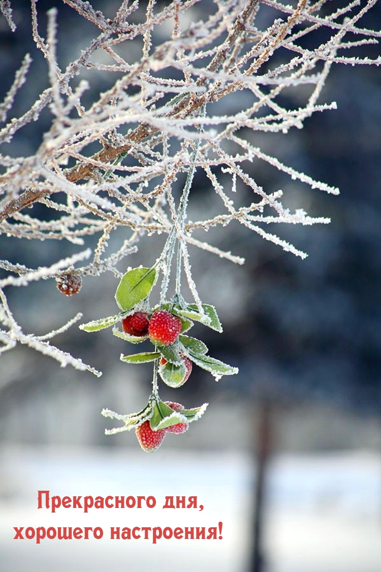 Прекрасного дня, хорошего настроения!