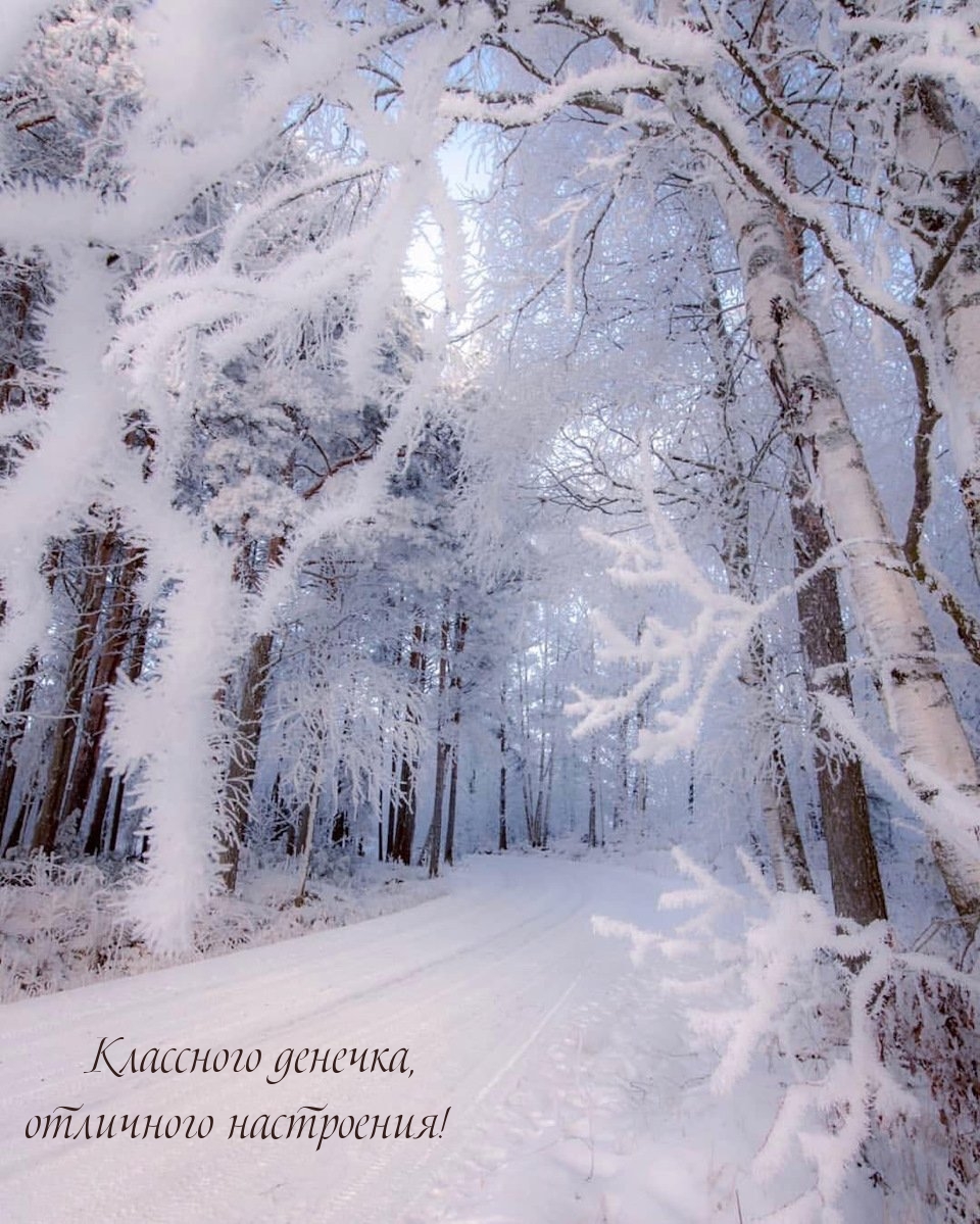 Классного денечка, отличного настроения!