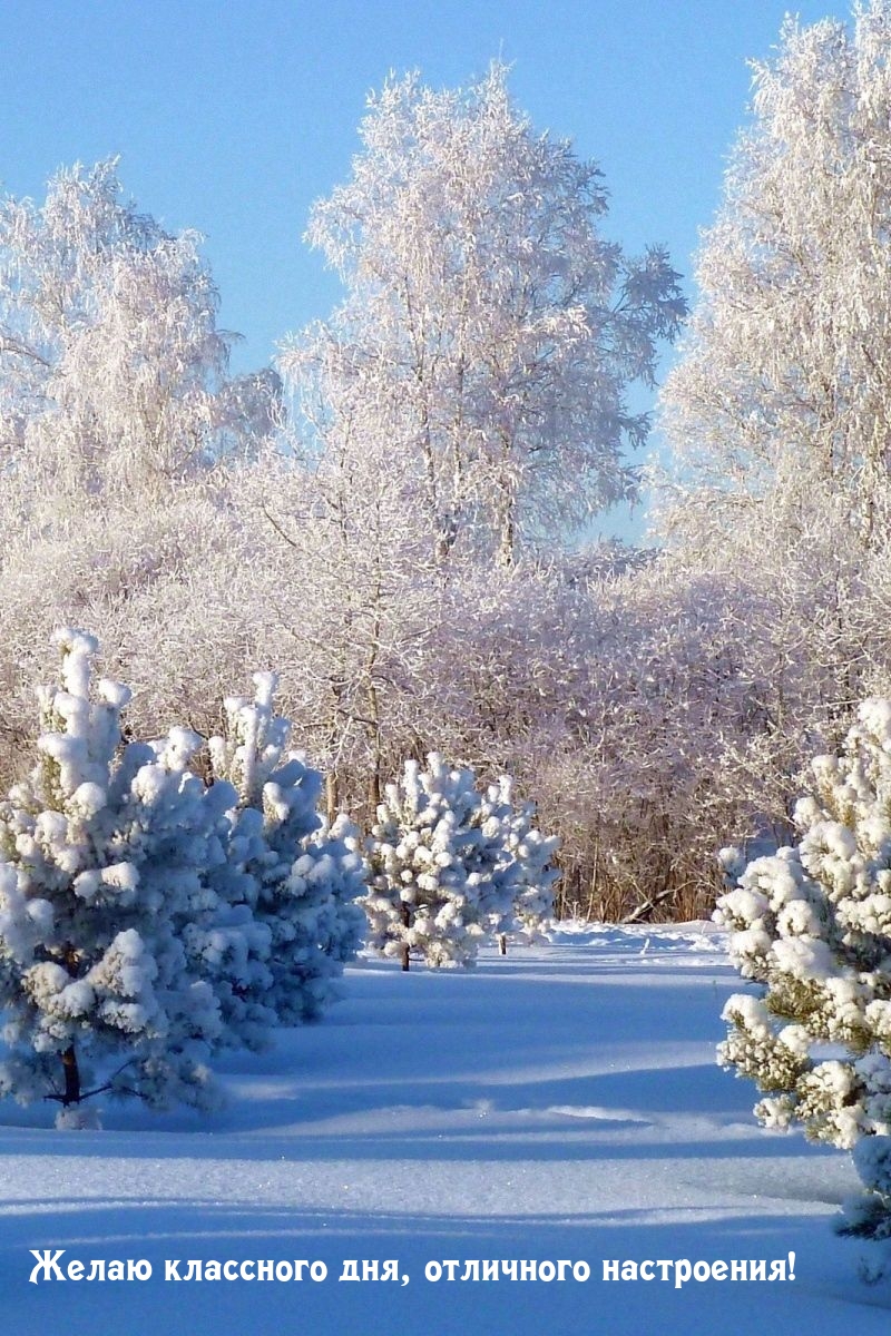 Желаю классного дня, отличного настроения!