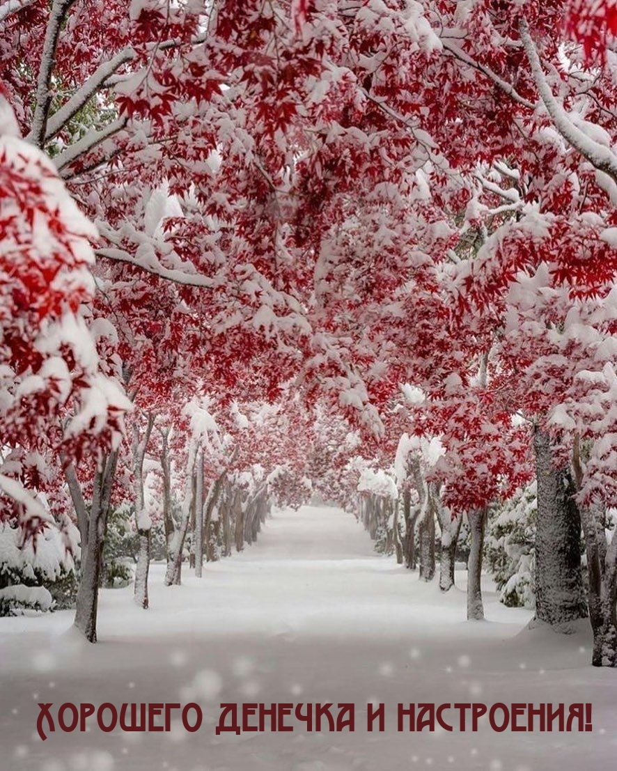 Хорошего денечка и настроения!